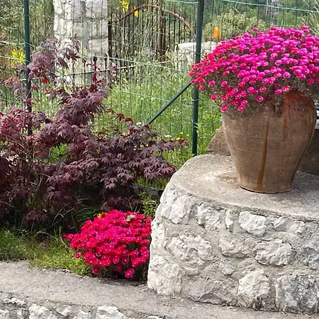 Rez De Jardin, Entre Et Montagne Apartment *