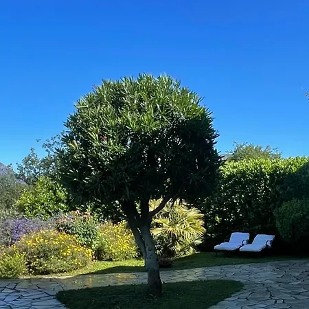 Rez De Jardin, Entre Et Montagne Apartment *